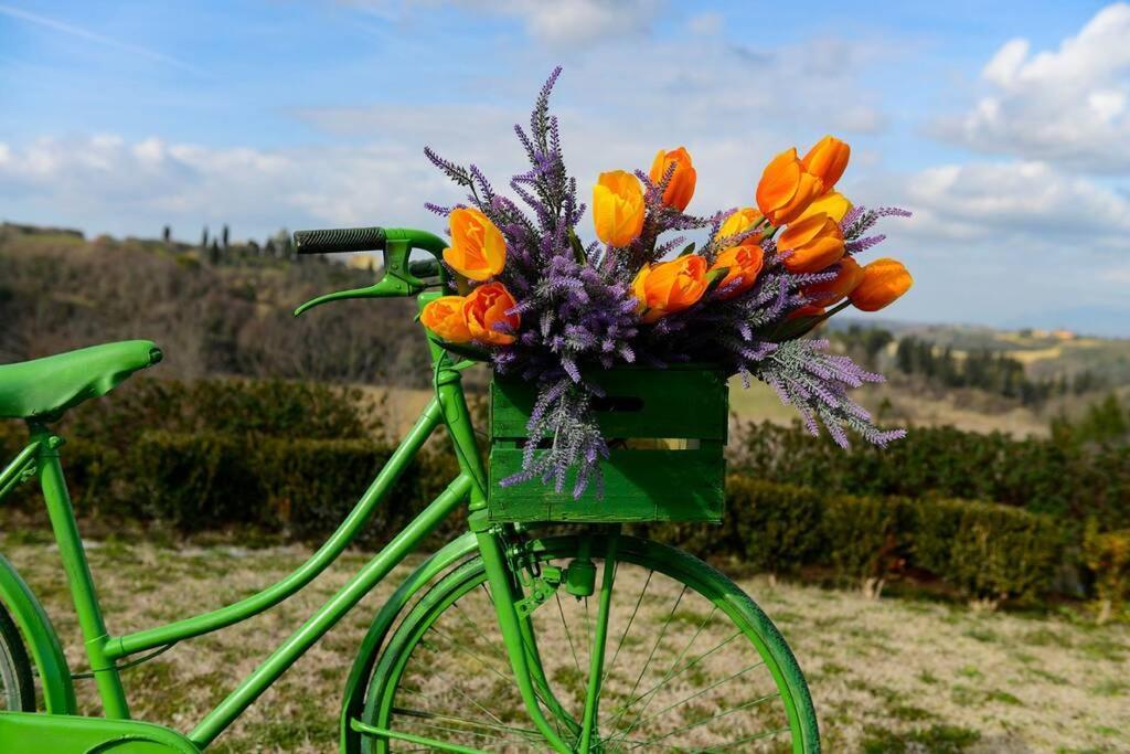 Bike Vintage Tuscany - Countryside With Pool * Selvatelle